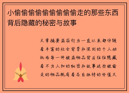 小偷偷偷偷偷偷偷偷偷走的那些东西背后隐藏的秘密与故事